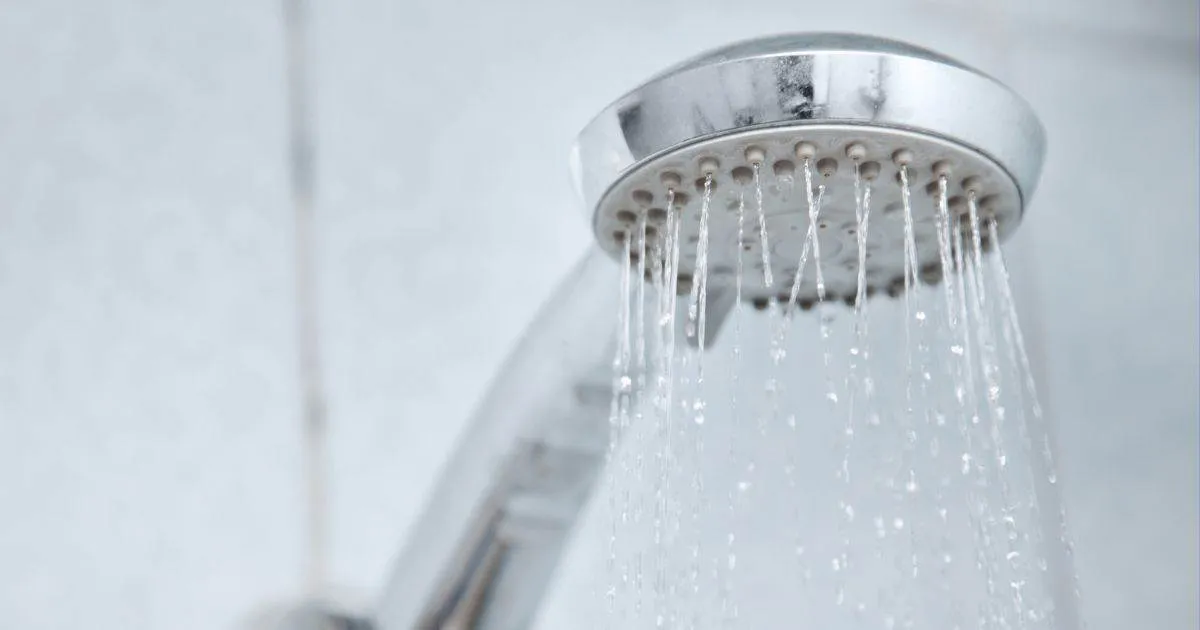 shower head